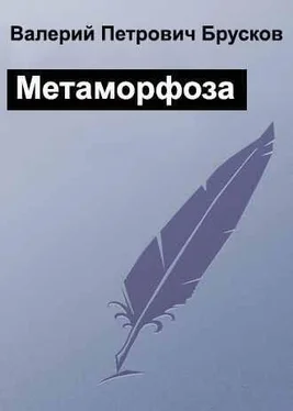 Валерий Брусков Метаморфоза