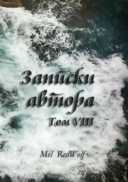 Mel RedWolf Записки автора. Том VIII обложка книги