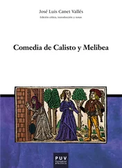 Josep Lluís Canet Vallés - Comedia de Calisto y Melibea