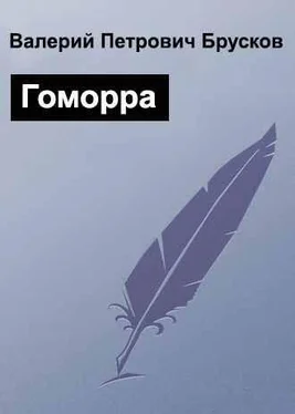 Валерий Брусков Гоморра обложка книги