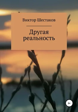 Виктор Шестаков Другая реальность обложка книги