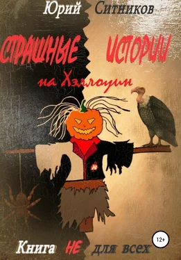 Юрий Ситников Страшные истории на Хэллоуин обложка книги