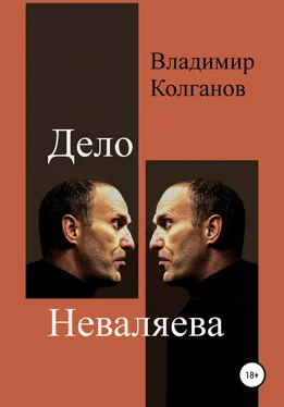 Владимир Колганов Дело Неваляева обложка книги