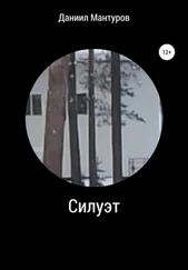 Даниил Мантуров - Силуэт