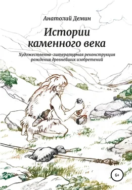 Анатолий Демин Истории каменного века. Художественно-литературная реконструкция рождения древнейших изобретений обложка книги