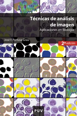 José F. Pertusa Grau Técnicas de análisis de imagen, (2a ed.) обложка книги