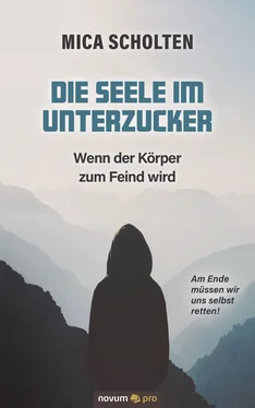 Mica Scholten Die Seele im Unterzucker обложка книги