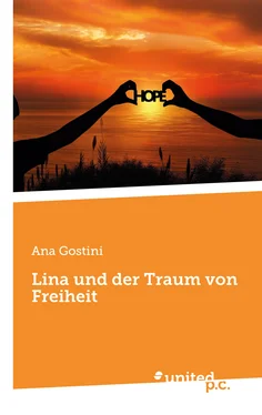 Ana Gostini Lina und der Traum von Freiheit обложка книги