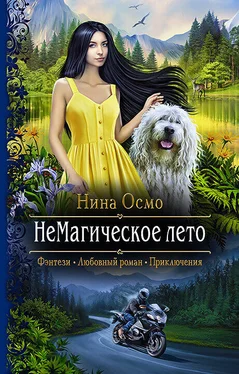 Нина Осмо НеМагическое лето обложка книги