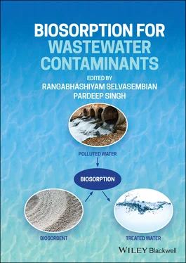 Неизвестный Автор Biosorption for Wastewater Contaminants обложка книги