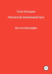Паоло Мальдини - Увесистый жизненный путь