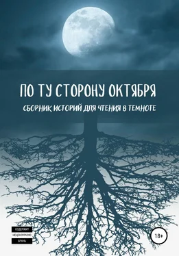 Елена Бар По ту сторону октября обложка книги