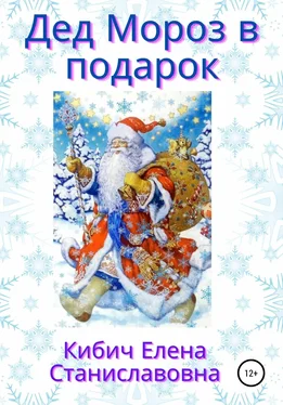 Елена Кибич Дед Мороз в подарок обложка книги