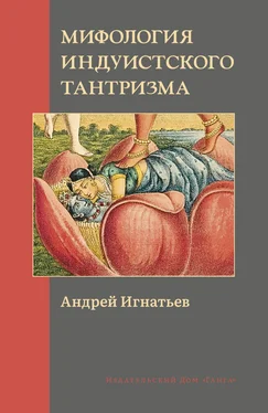 Андрей Игнатьев Мифология индуистского тантризма обложка книги