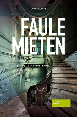 Sonja Rudorf Faule Mieten обложка книги