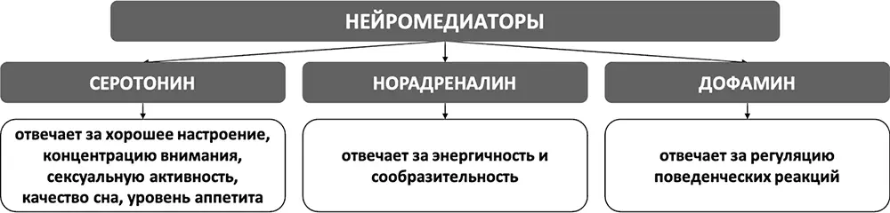 Рис 1Святая троица нейромедиаторов Эффект плацебо С теорией химической - фото 2