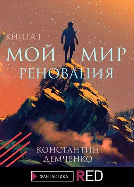 Константин Демченко Мой мир. Реновация. Книга 1 обложка книги