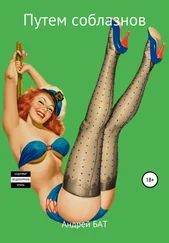 Андрей Бат - Путем соблазнов