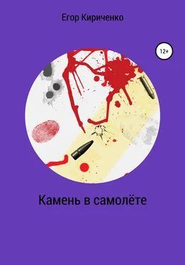 Егор Кириченко Камень в самолёте обложка книги