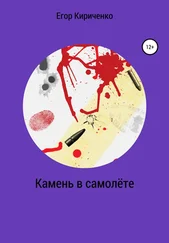 Егор Кириченко - Камень в самолёте