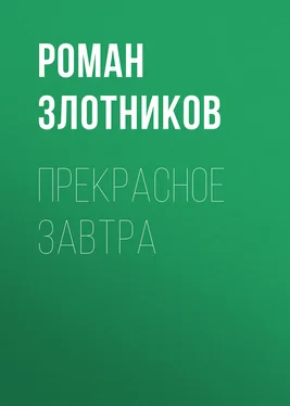 Роман Злотников Прекрасное завтра обложка книги