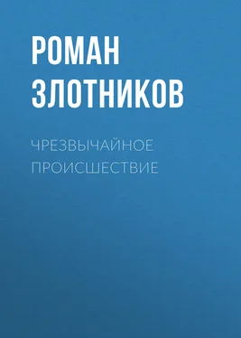 Роман Злотников Чрезвычайное происшествие обложка книги