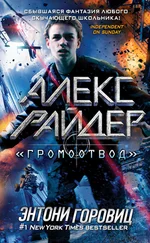 Энтони Горовиц - «Громоотвод»