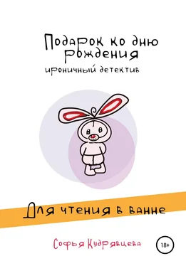 Софья Кудрявцева Подарок ко дню рождения обложка книги