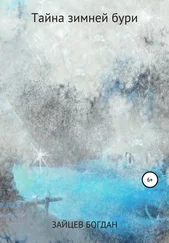 Богдан Зайцев - Тайна зимней бури