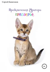 Сергей Капитонов - Приключения Арагора. Приозерье.