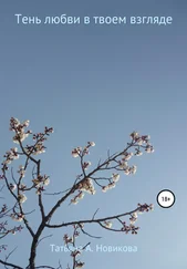 Татьяна Новикова - Тень любви в твоем взгляде