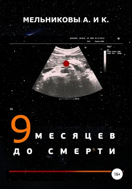 Ксения Мельникова 9 месяцев до смерти обложка книги