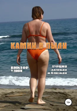Виктор Улин Камни в пыли обложка книги