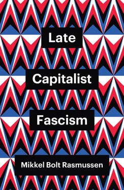 Mikkel Bolt Rasmussen Late Capitalist Fascism обложка книги