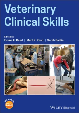 Неизвестный Автор Veterinary Clinical Skills обложка книги