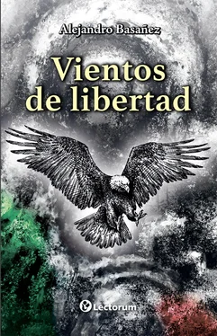 Alejandro Basañez Vientos de libertad обложка книги