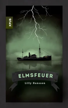 Lilly Hansson Elmsfeuer обложка книги