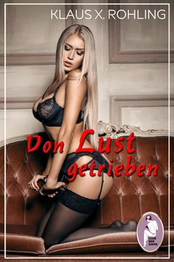 Klaus X. Rohling Von Lust getrieben (Erotik, BDSM, MaleDom) обложка книги