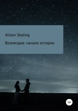 Alison Skaling Возмездие: начало истории обложка книги