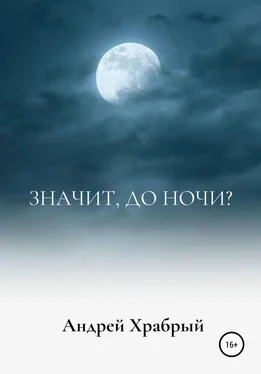 Андрей Храбрый Значит, до ночи? обложка книги