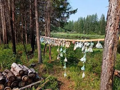 Просушка мешочков Ночевка у костра Както меня послали с вездеходчиком - фото 28