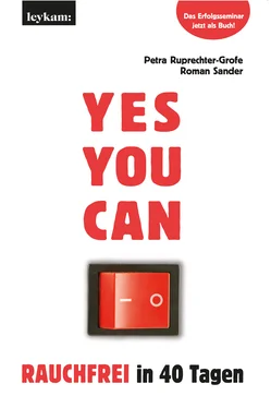 Roman Sander YES YOU CAN. Rauchfrei in 40 Tagen. обложка книги