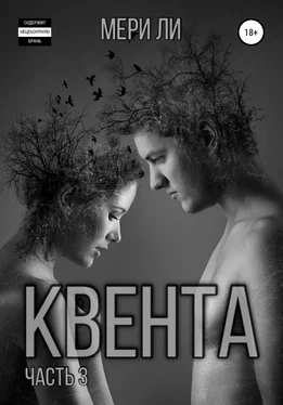 Мери Ли Квента. Финал обложка книги