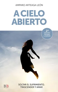 Amparo Arteaga León A cielo abierto обложка книги