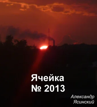 Александр Ясинский Ячейка №2013 обложка книги