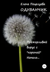 Елена Поцелуева - Одуванчик