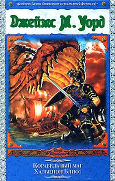 Джеймс Уорд Корабельный маг Хальцион Блисс обложка книги