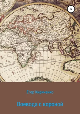 Егор Кириченко Воевода с короной обложка книги