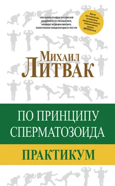 Михаил Литвак По принципу сперматозоида. Практикум обложка книги