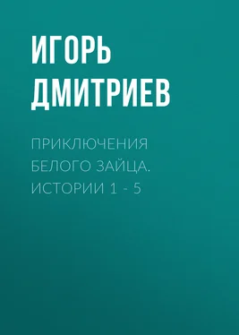 Игорь Дмитриев Приключения Белого Зайца. Истории 1 – 5 обложка книги